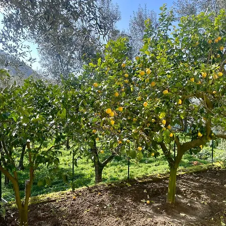 Bed & Breakfast Realty Holidays - The Smile Of The Sun Sorrento
